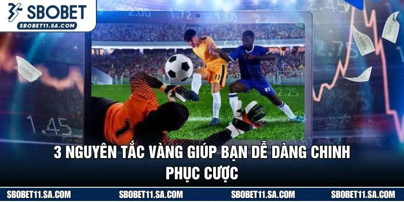 3 nguyên tắc vàng giúp bạn dễ dàng chinh phục cược