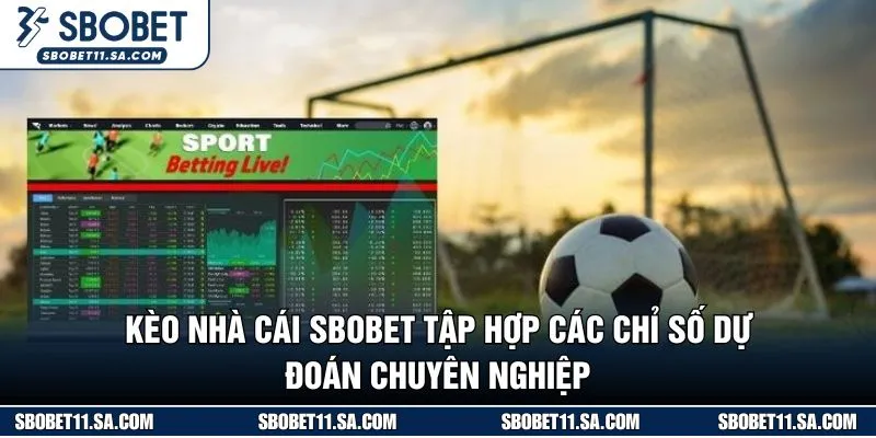 Kèo nhà cái SBOBET tập hợp các chỉ số dự đoán chuyên nghiệp