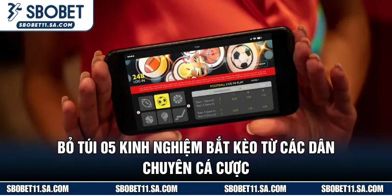 Bỏ Túi 05 Kinh Nghiệm Bắt Kèo Từ Các Dân Chuyên Cá Cược