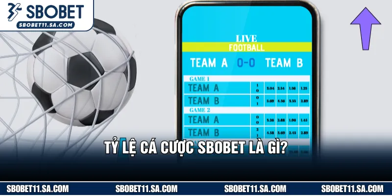 Nhà cái cho phép hiển thị nhiều dạng odds khác nhau