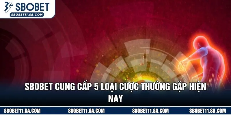 SBOBET cung cấp 5 loại cược thường gặp hiện nay