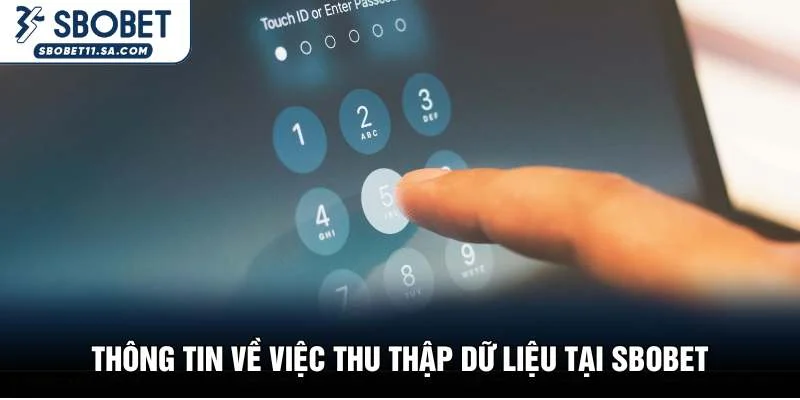 Thông tin về việc thu thập dữ liệu tại SBOBET